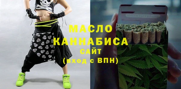 индика Бугульма