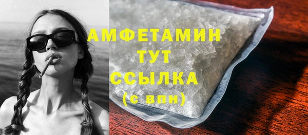 индика Бугульма